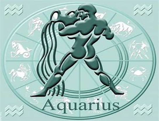 Resultado de imagen de acuario signo
